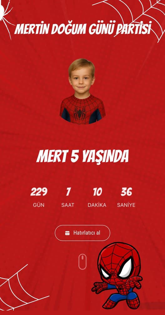Spiderman Doğum Günü