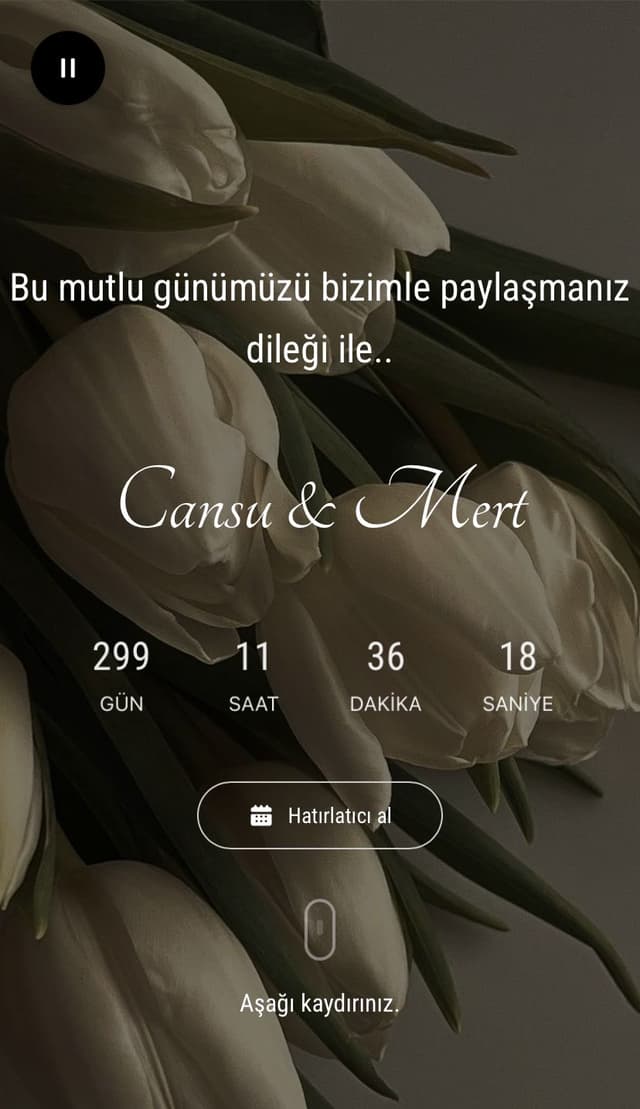 Klasik şık tema