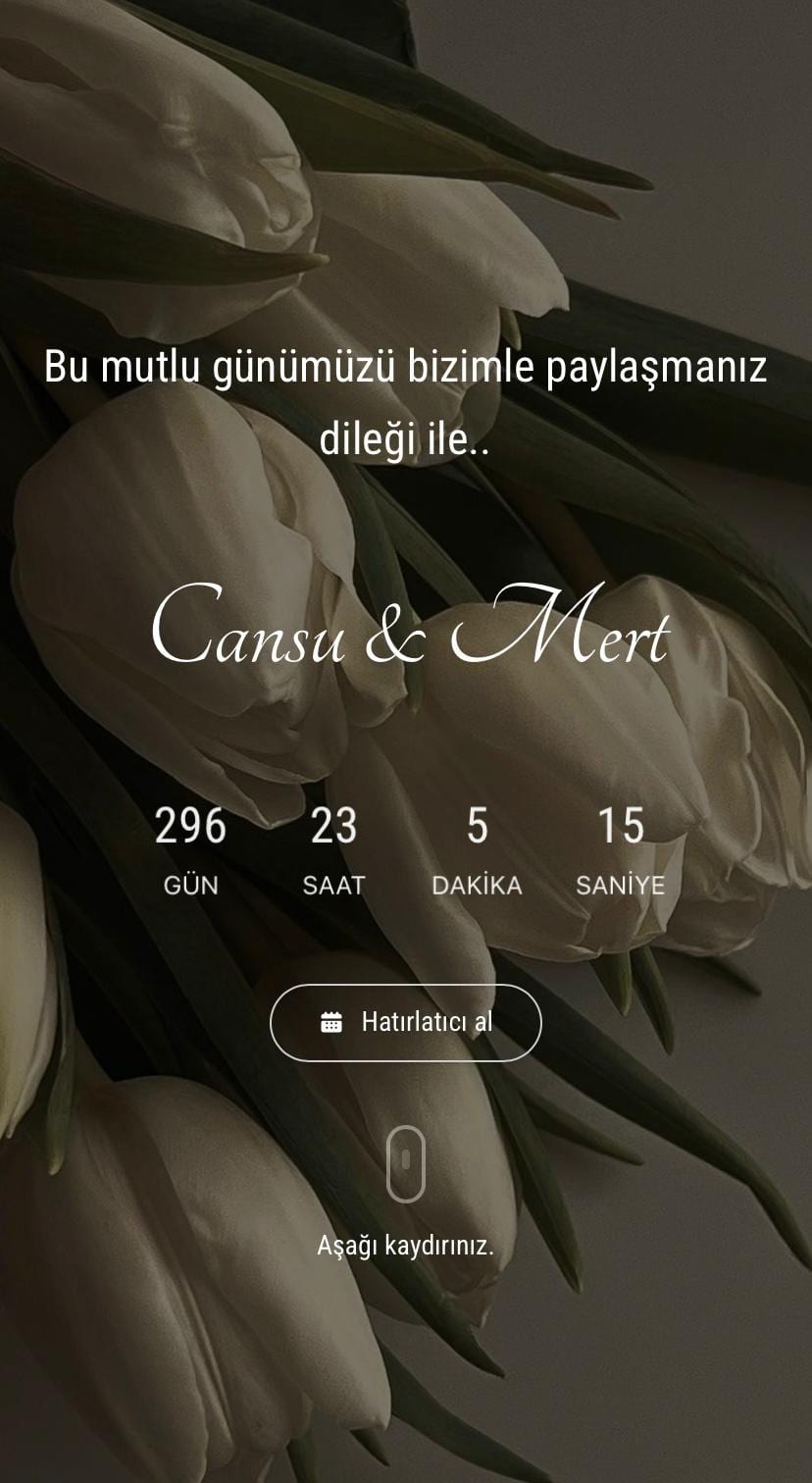 Klasik Şık Tema dijital kına davetiyesi önizlemesi
